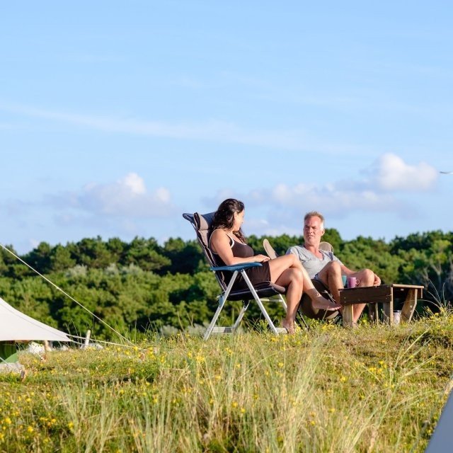 Hoe tevreden zijn onze gasten?