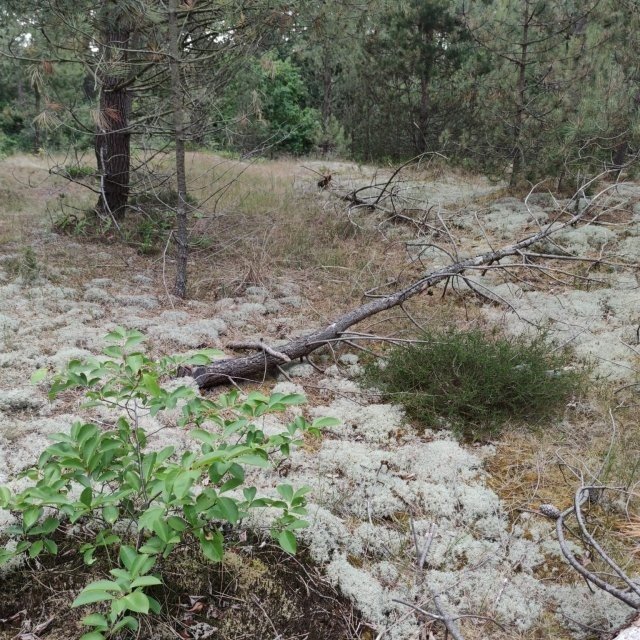 Whatsapp image 2023 07 05 at 09 07 451